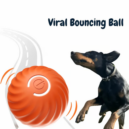 🐶Fun Viral Bouncing Ball