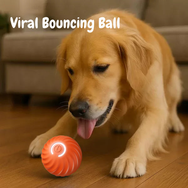 🐶Fun Viral Bouncing Ball